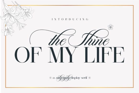 Discovering The Shine of My Life: A Font Duo for Elegant Design