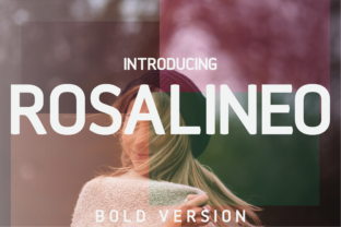 Rosalineo Bold: A Modern Tribute to Helvetica's Timeless Appeal