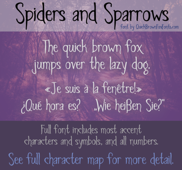 Why Spiders and Sparrows Isn't Just Another Gothic Font